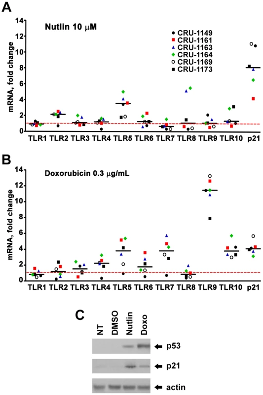 Induced expression of <i>TLR</i> gene family in human alveolar macrophages by DNA stressors and activation of the p53 pathway.
