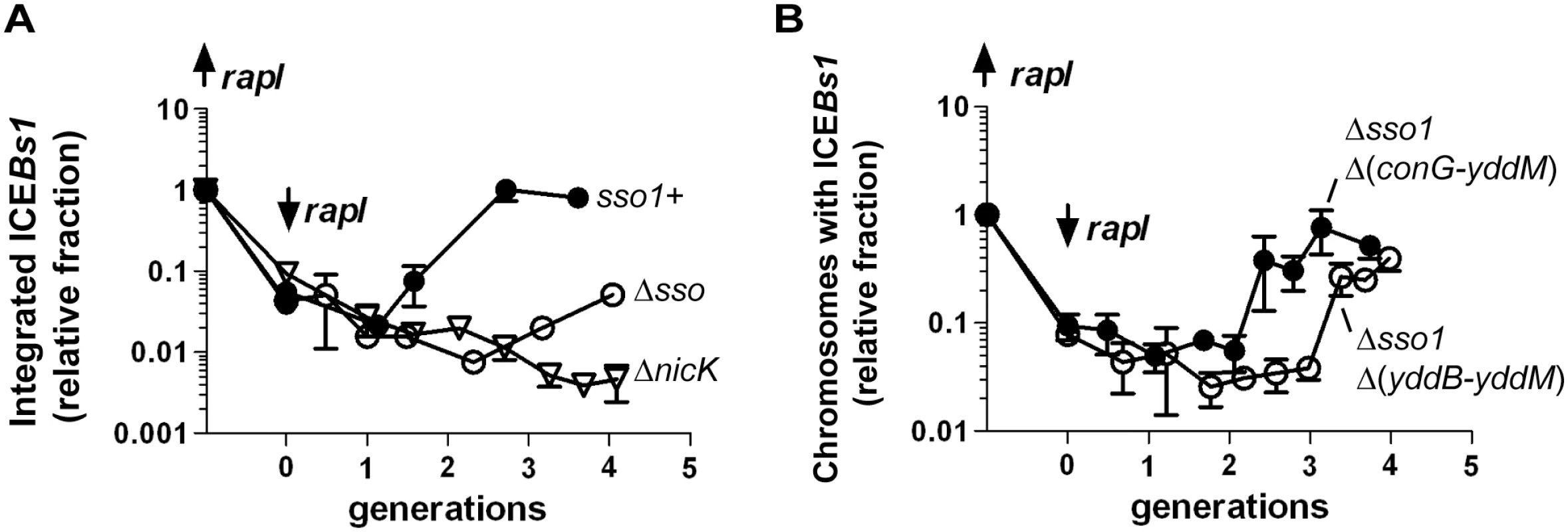 Sso activity is important for maintenance of ICE<i>Bs1</i> after excision in growing cells.