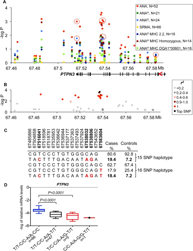 Genetic analysis of chromosome 11 locus and <i>PTPN3</i> expression.