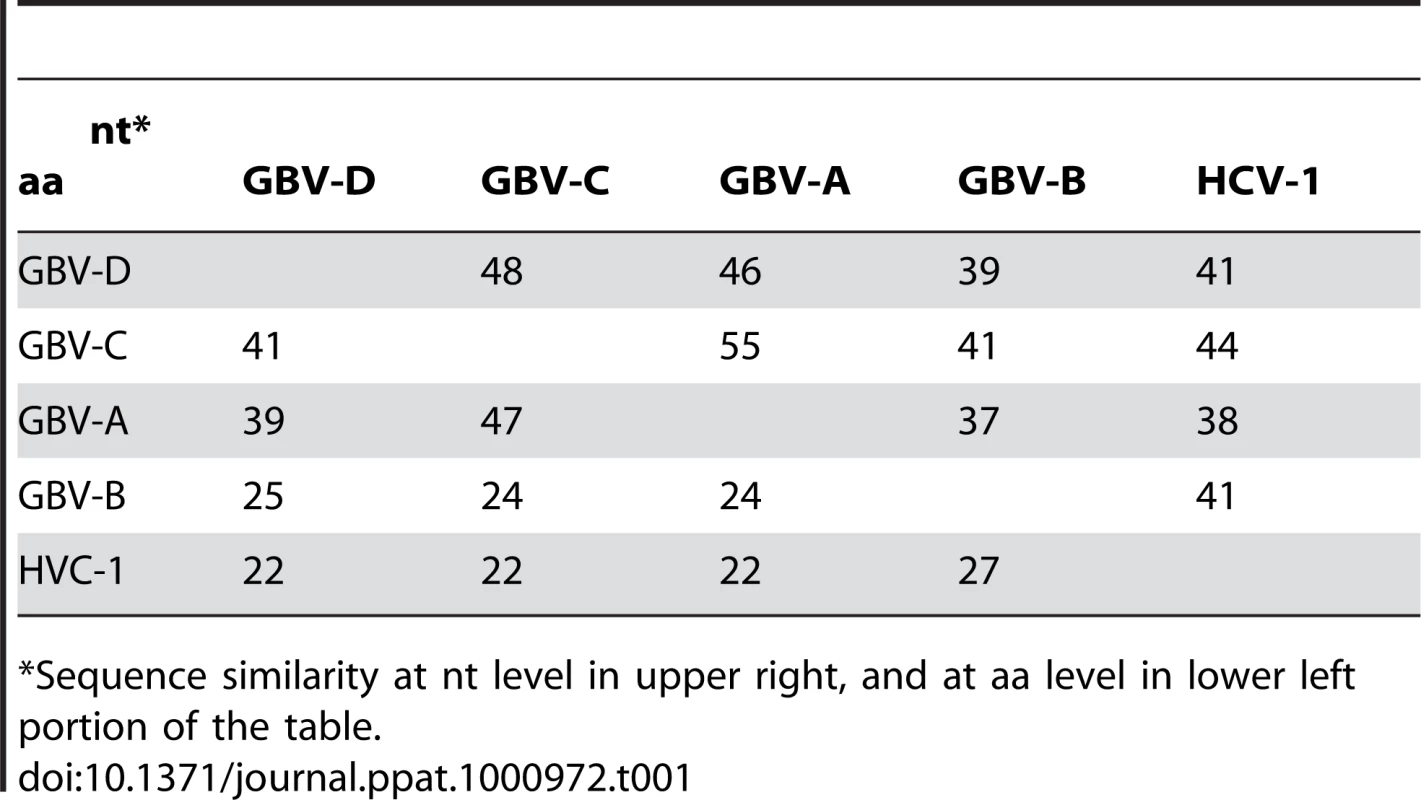 Percent sequence similarity between GBV-D (bat-68), -A, -C, and hepaciviruses.