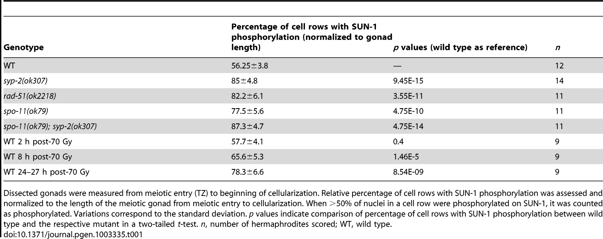 Length of SUN-1 phosphorylation in wild-type and mutant backgrounds.