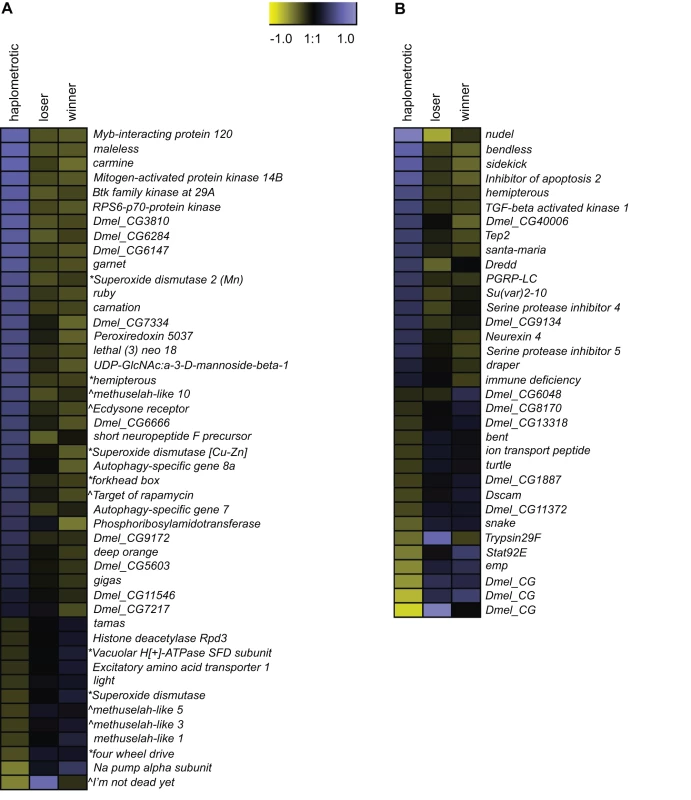Expression patterns of aging- and immune-associated genes.