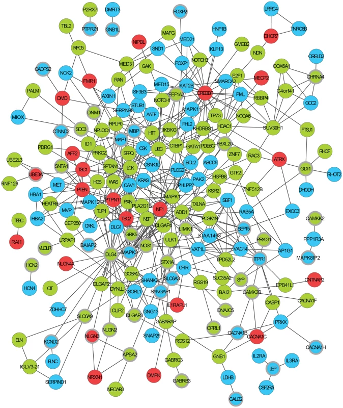 An <i>ASD-associated</i> interaction network.