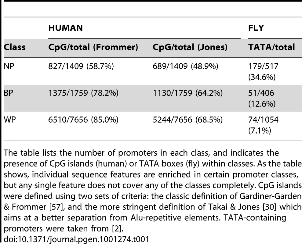 Distribution of Promoters in the Human and Fly Datasets Used in This Study.