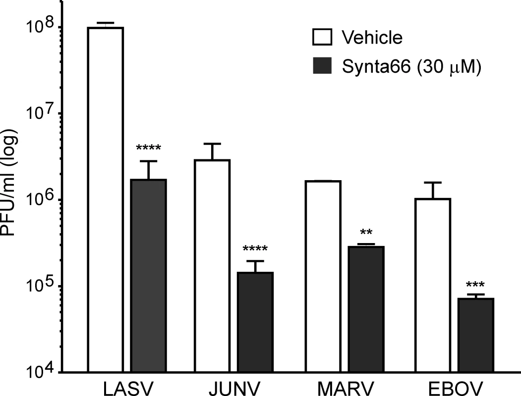 Synta66 decreases the number of viral particles in supernatants.