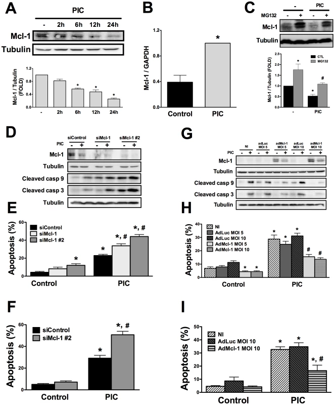 Mcl-1 protein expression is decreased by internal dsRNA and its modulation regulates beta cell apoptosis.