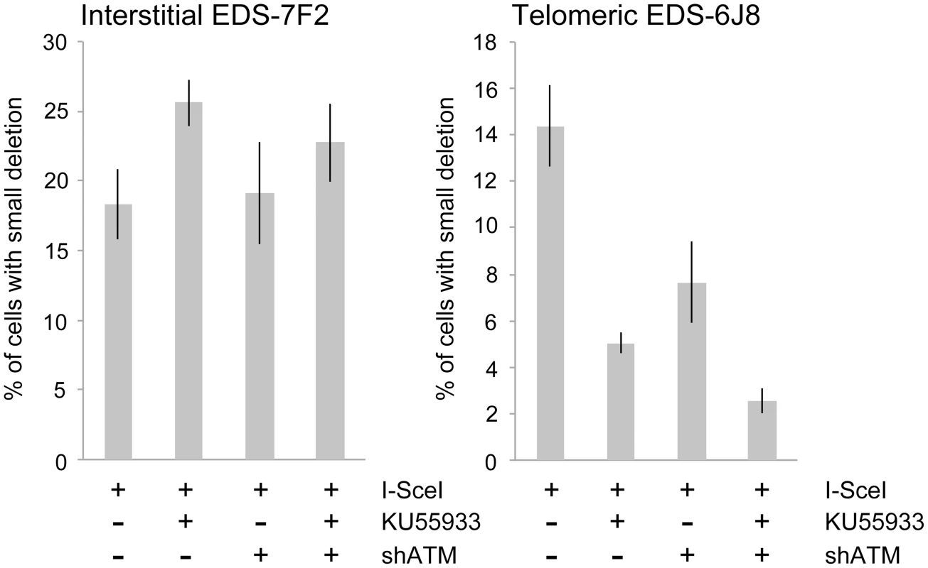 The effect of ATM deficiency on small deletions at interstitial and telomeric DSBs.