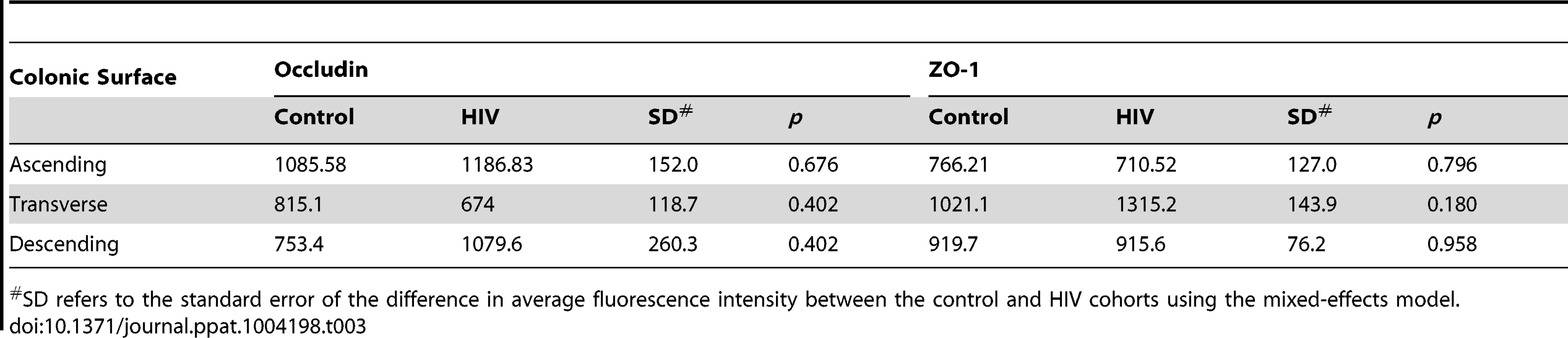 Average fluorescence intensity for occludin and ZO-1 staining of colonic surface epithelium sections.