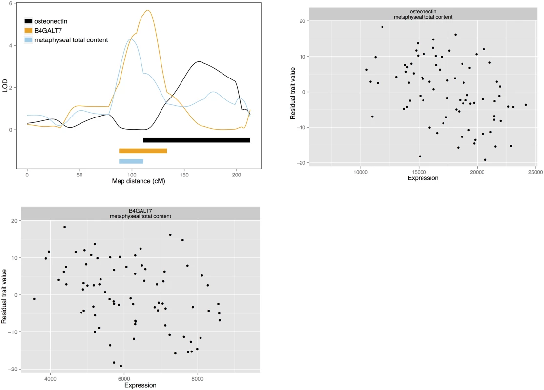 Candidate quantitative trait genes osteonectin and &lt;i&gt;B4GALT7&lt;/i&gt; for total bone content: LOD curves and confidence intervals of bone QTL and associated eQTL, and scatterplots of residual phenotypes against gene expression values.