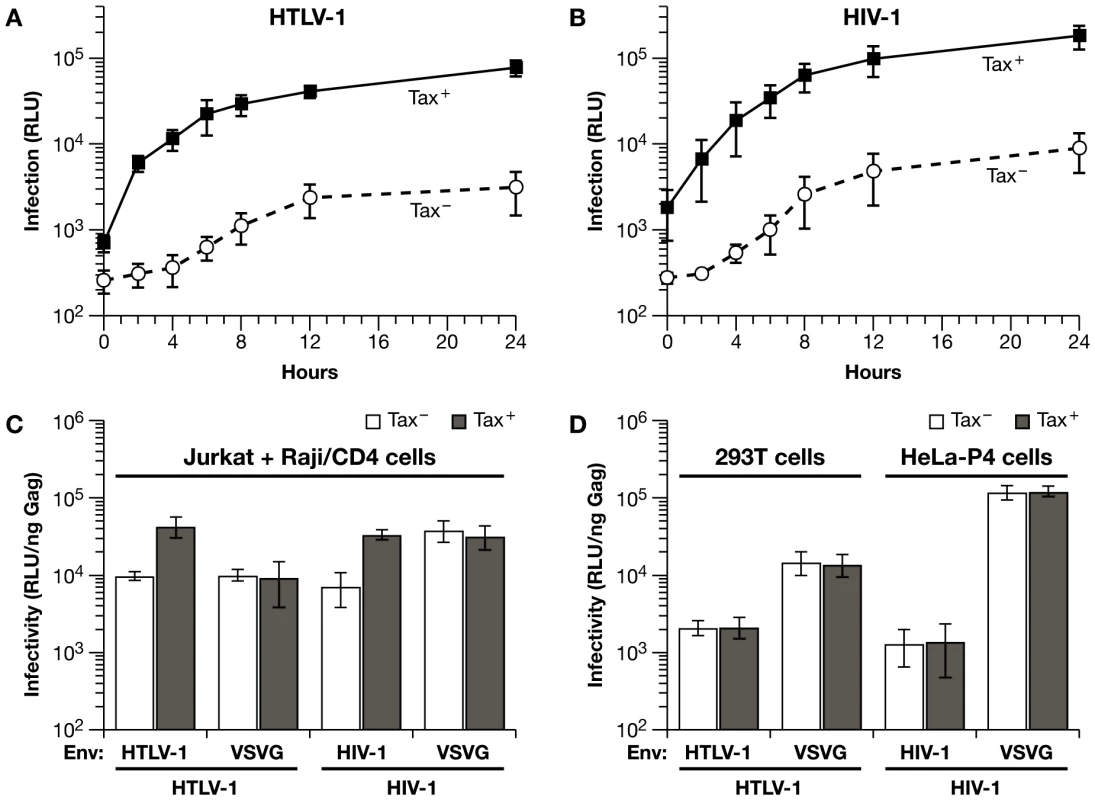HTLV-1 Tax expression in Jurkat cells enhances coculture infection of Raji/CD4 cells with HIV-1 and HTLV-1 vectors.