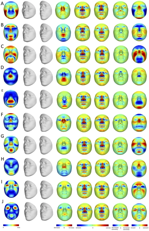PCA effects on facial morphology.
