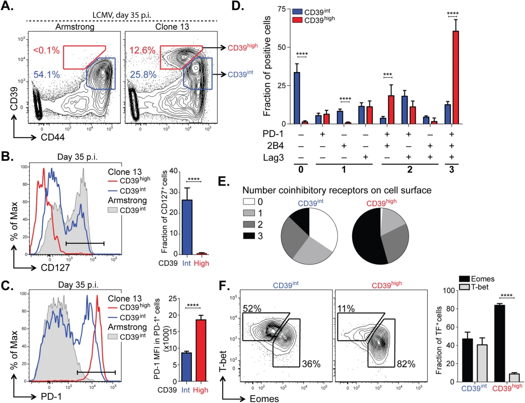 CD39 identifies terminally exhausted CD8<sup>+</sup> T cells in mice with chronic LCMV infection.