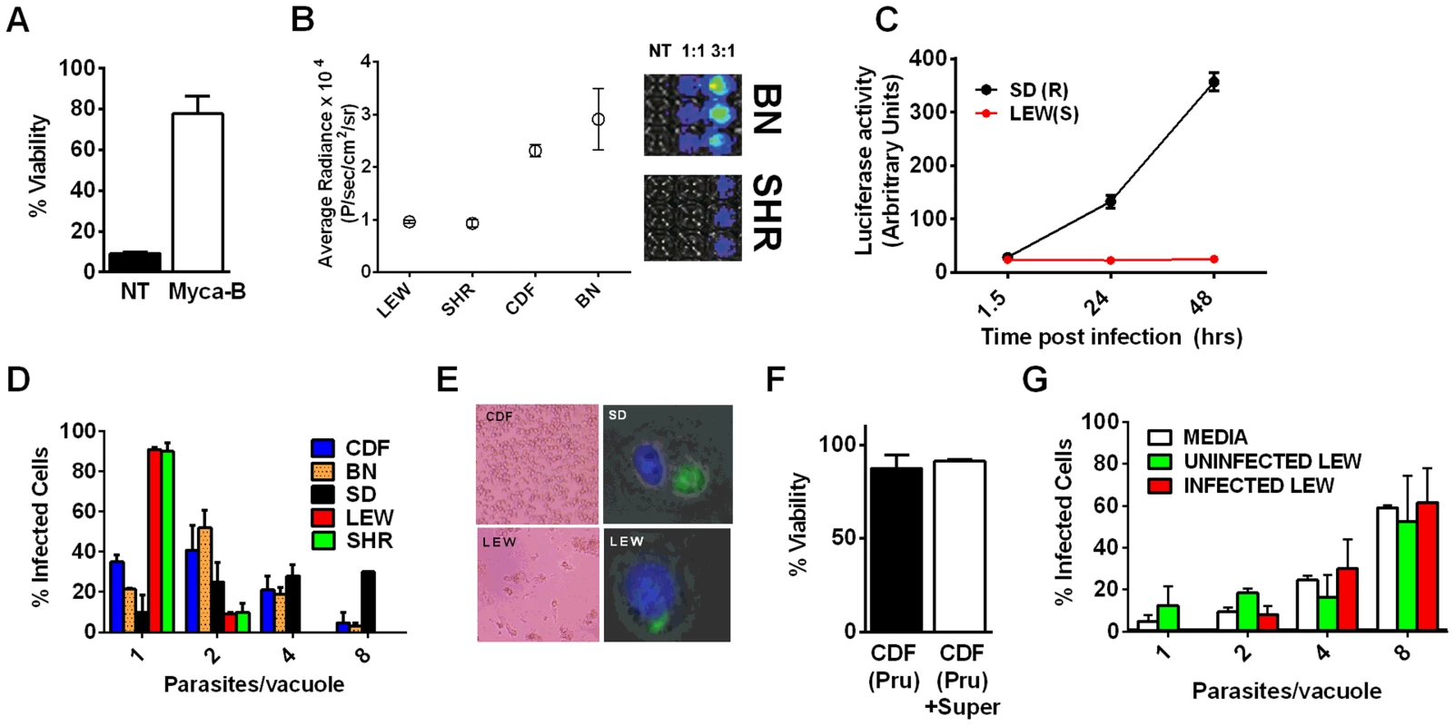NLRP1-variant dependent macrophage death depends on parasite invasion and controls parasite proliferation.