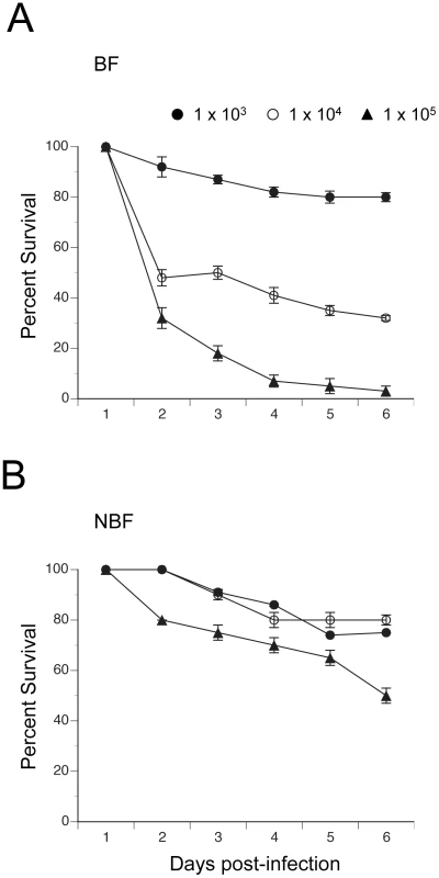 Survival curves (± 1 SE) for BF and NBF females fed on day 4 and infected 24 h pbm (day 5) with different doses of <i>E. coli</i>.