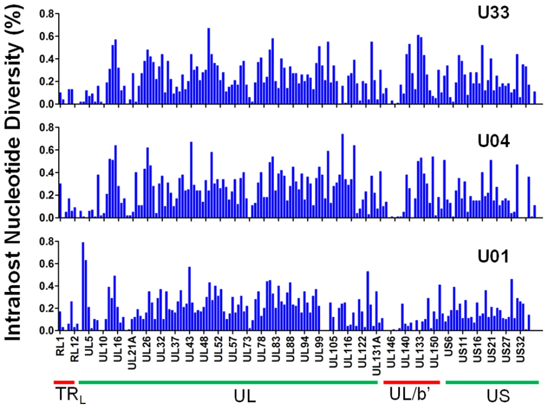 Intrahost nucleotide diversity was detected in most ORFs of the HCMV genome.