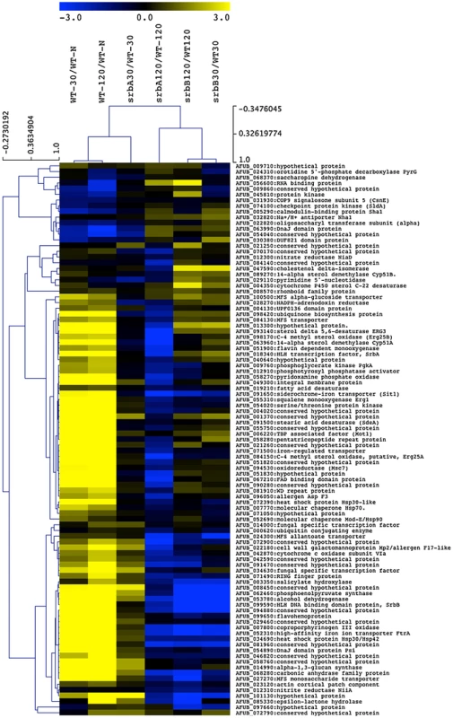 A sub-set of SrbA ChIP Target Genes are co-regulated by SrbB.