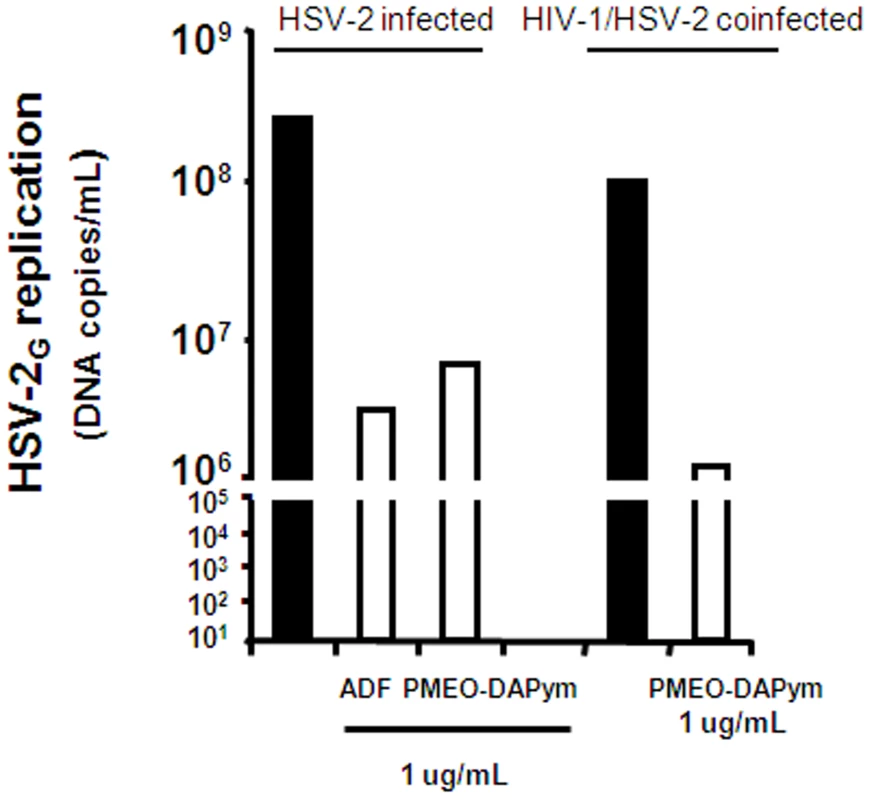 Suppression of HSV-2 in human cervico-vaginal tissues by adefovir and PMEO-DAPym.