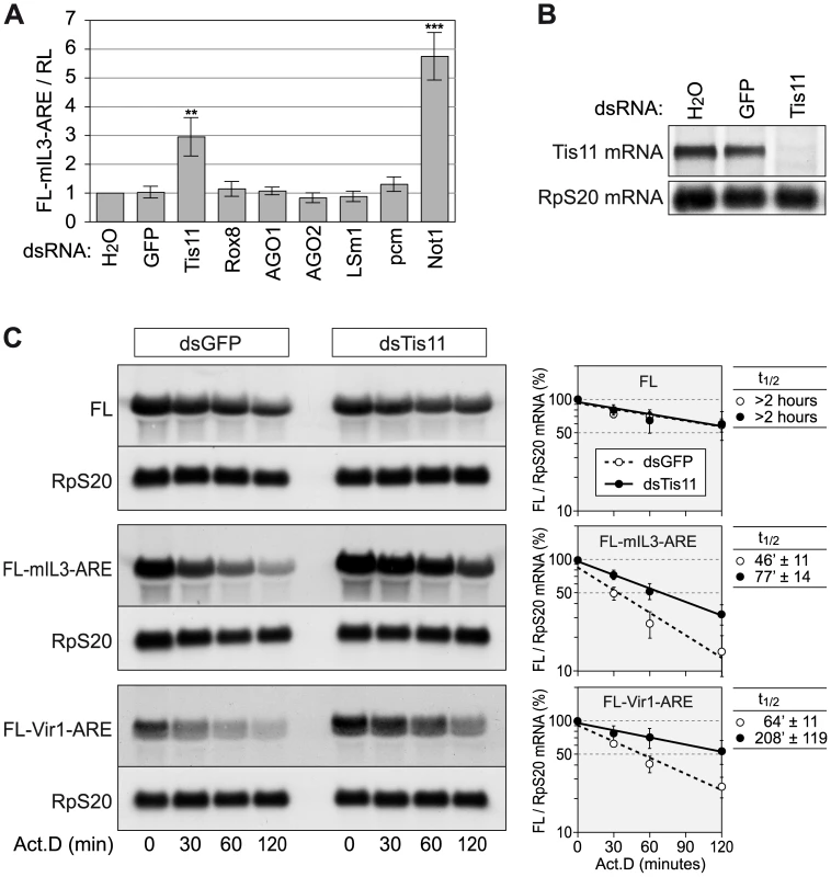 Tis11 mediates rapid mRNA degradation in <i>D. melanogaster</i> SL2 cells.