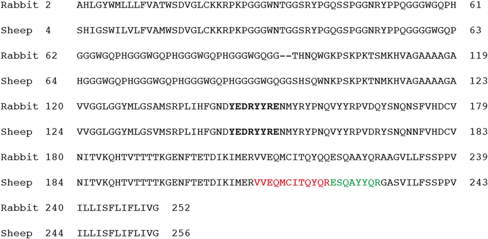 PrP amino acid sequences from New Zealand White rabbit and the sheep (VRQ allele).