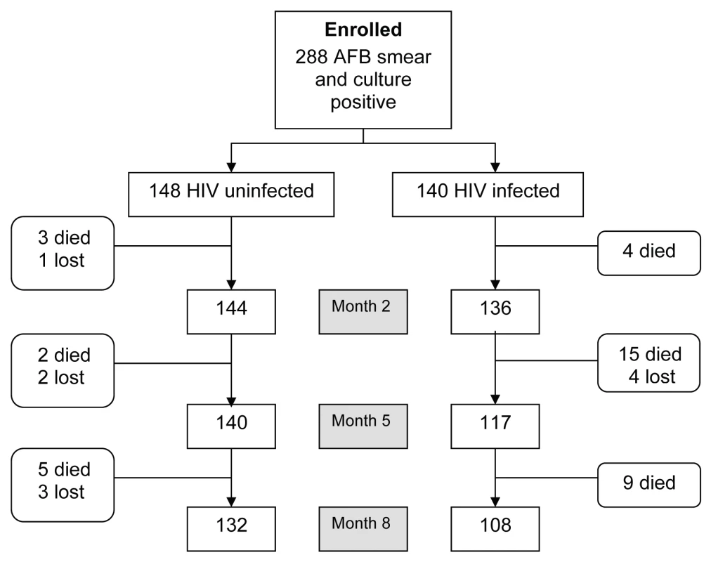 Study profile during the 8-mo TB retreatment period.
