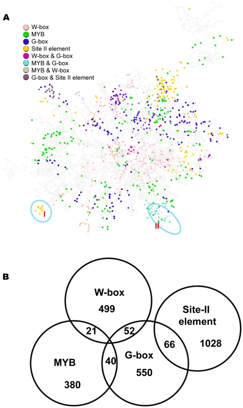 A sub-network with the top 6,000 co-expressed gene pairs extracted from the whole gene co-expression network.