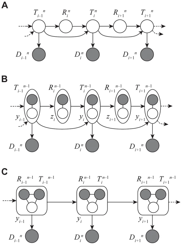 Graphical models for Discretized Sequentially Markov Coalescent (DSMC) models.