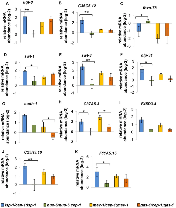 Expression of similarly regulated CEP-1 targets in other ETC mutants.