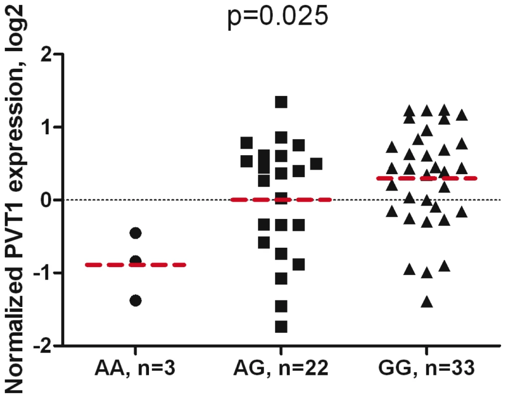 Association of <i>PVT1</i> gene expression with rs378854 genotype in 59 normal prostate samples.