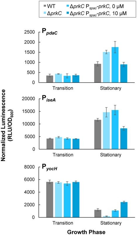 Inducible PrkC expression complements Δ<i>prkC</i> effects on expression of <i>WalR</i> regulon genes during stationary phase.