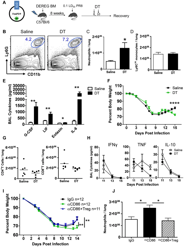 Treg cells promote recovery after IAV infection by limiting innate inflammation.