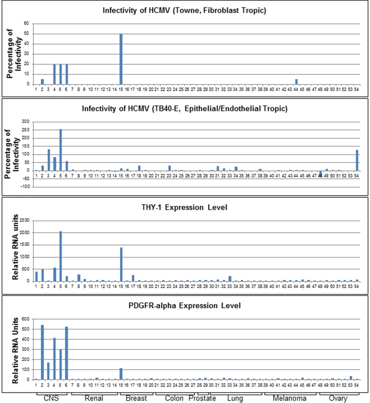 Expression of THY-1 positively correlates with HCMV infectivity for both fibroblast and epithelial/endothelial tropic stains of virus in 54 human cell lines.