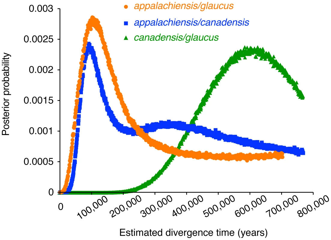 Estimated divergence times between the parental <i>glaucus</i> and <i>canadensis</i> and the hybrid <i>appalachiensis</i>.