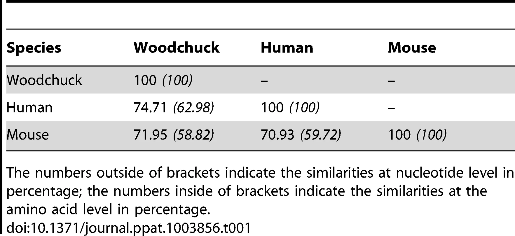 Homology comparison of woodchuck, human and mouse PD-1.