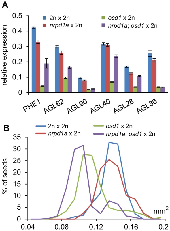 Maternal Loss of NRPD1a Does Not Restore Wild-Type Levels of <i>AGL</i> Expression and Wild-Type Seed Size.