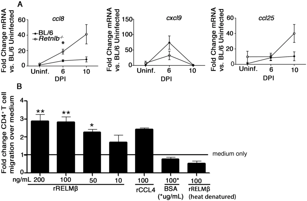 RELM-β acts as a CD4+ T cell chemoattractant.