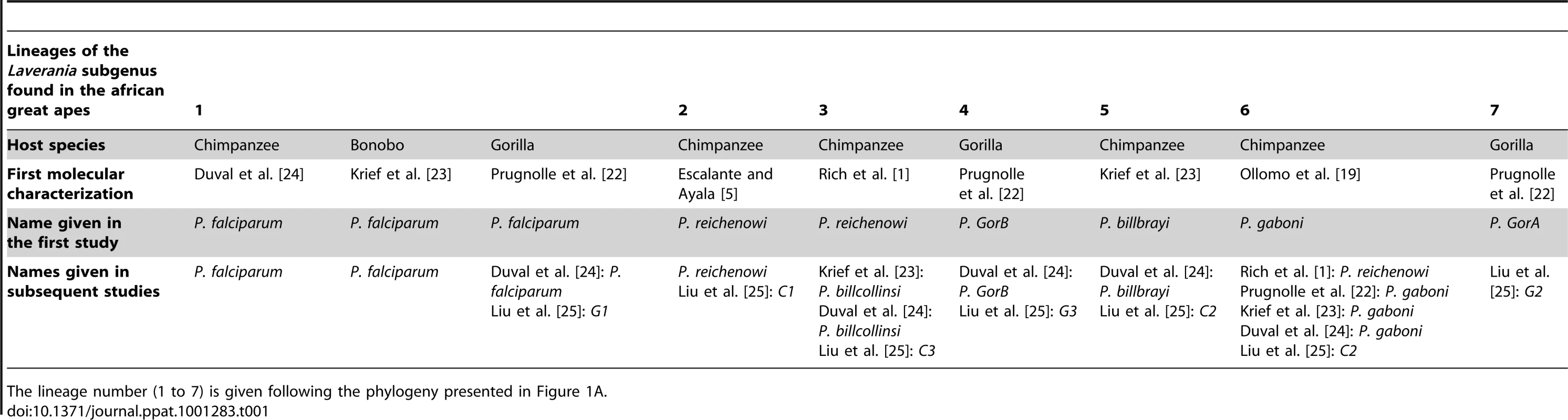 Historic overview of the molecular descriptions and of the names given to the different lineages (seven lineages) of the <i>Laverania</i> subgenus.
