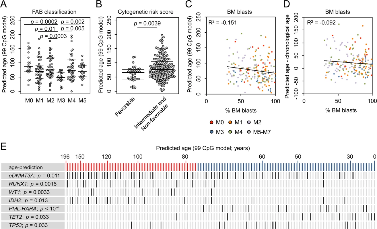 Correlation of epigenetic aging signatures with clinical parameters in AML.