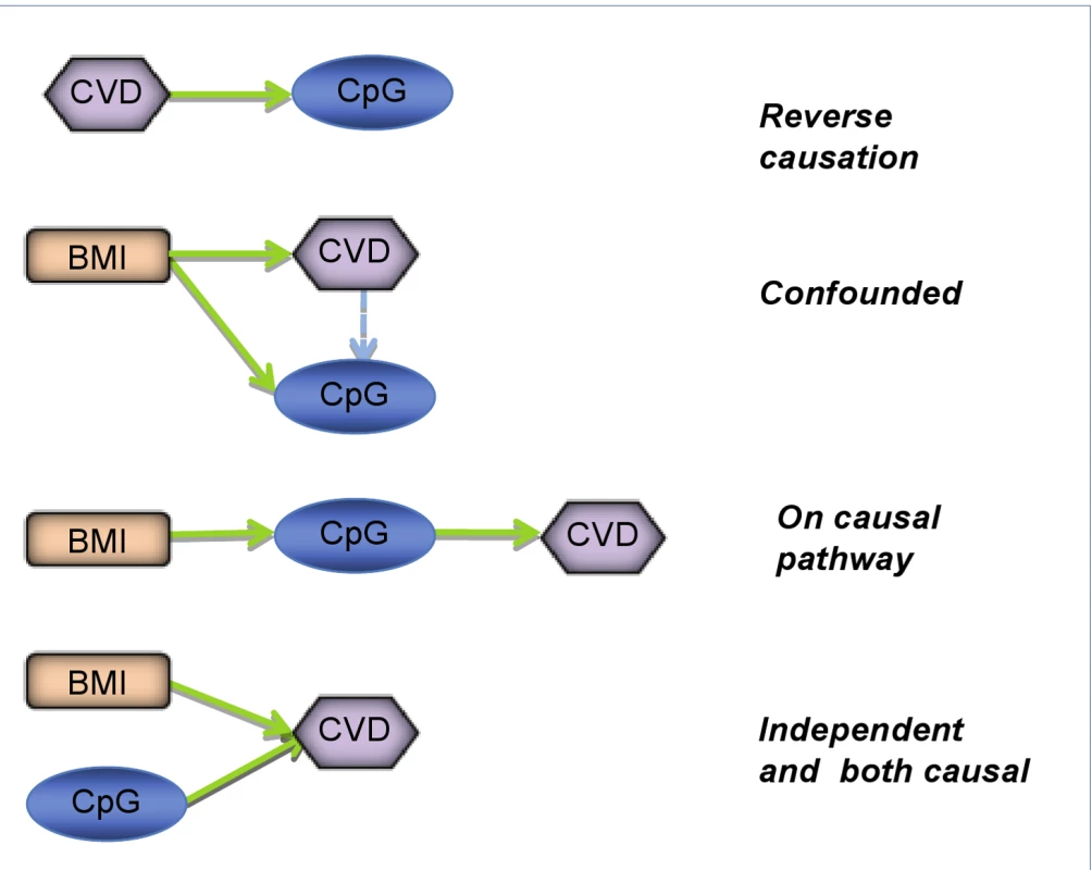 Defining the causal relationship between epigenetic patterns and phenotype.