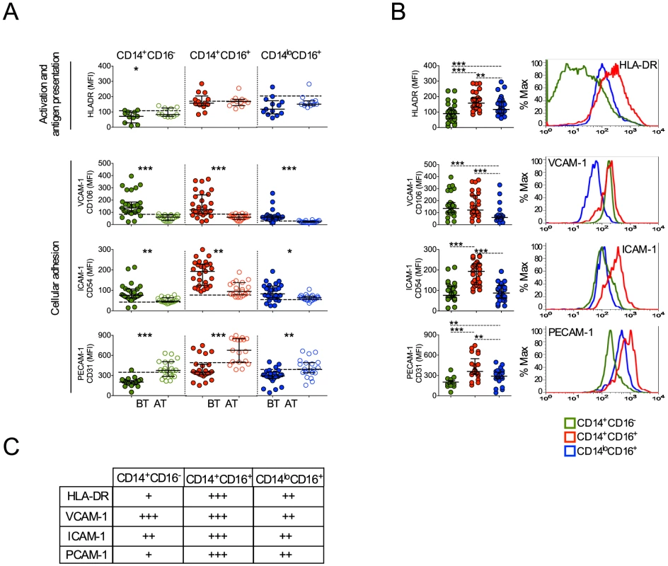 Monocyte subsets from <i>P. vivax</i>-infected patients display a highly activated phenotype.