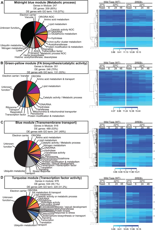 Weighted gene co-expression network analysis (WGCNA).