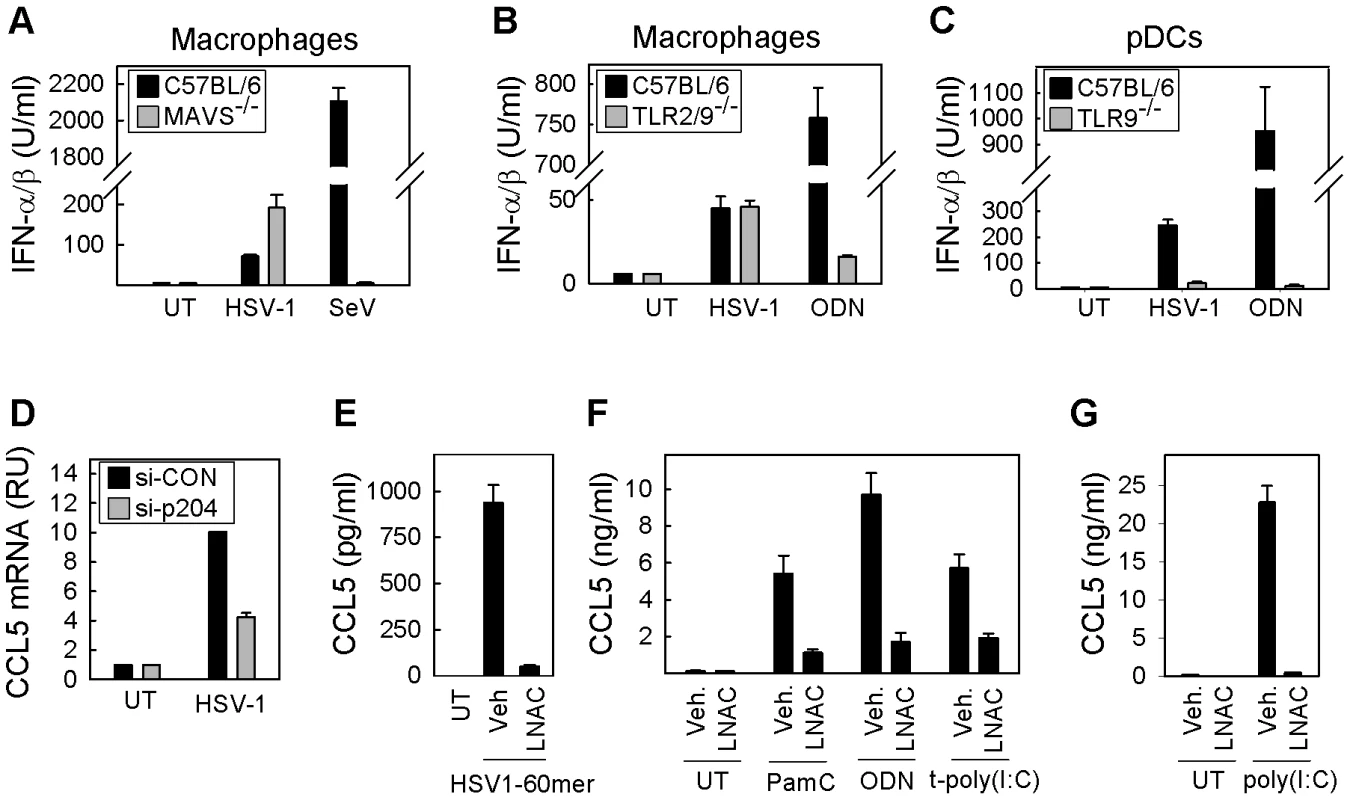 ROS and innate antiviral response: Cell-type and PRR dependence.