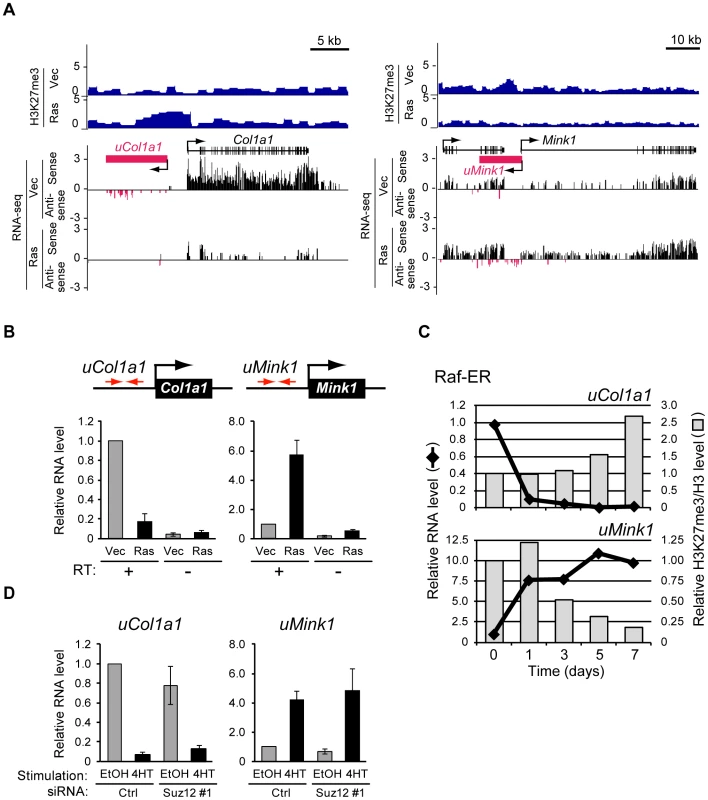 Signaling-induced changes in the production of novel transcripts from intergenic regions occur before changes in H3K27me3 level.