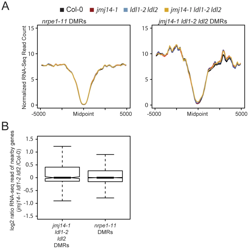 Changes in histone methylation at DMRs do not correlate with alterations in mRNA expression.
