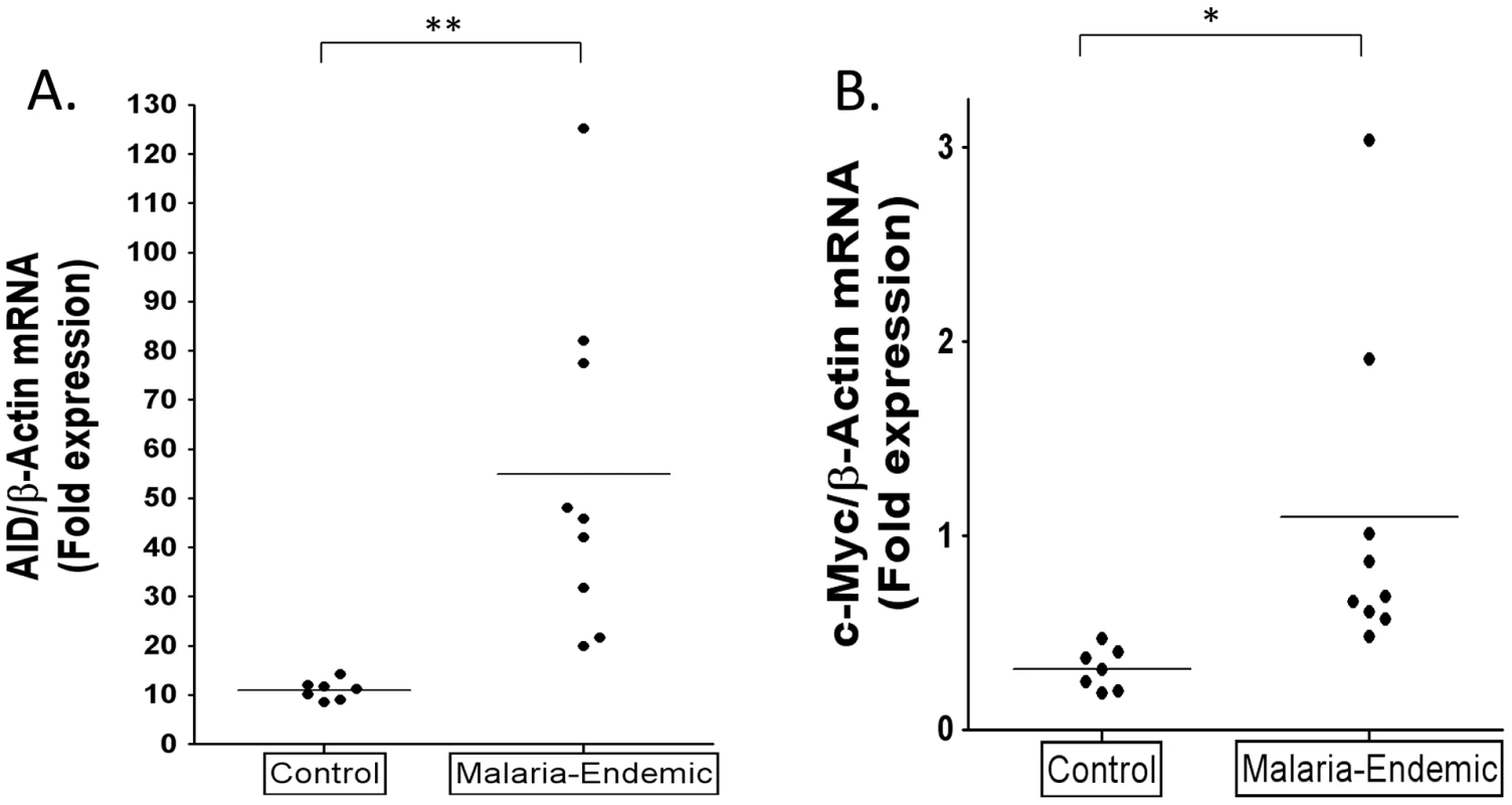 Higher levels of AID and c-myc mRNA in tonsil GC B cells from individuals infected with <i>P. falciparum</i> malaria compared to controls.