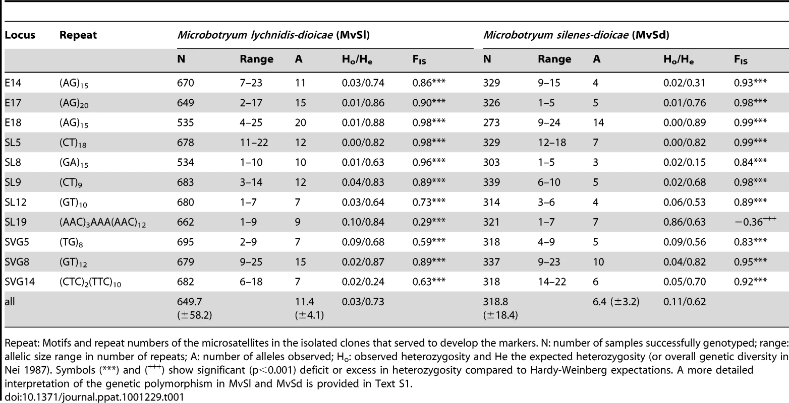 Summary statistics on the 11 microsatellite loci in <i>Microbotryum lychnidis-dioicae</i> (MvSl) and <i>Microbotryum silenes-dioicae</i> (MvSd).