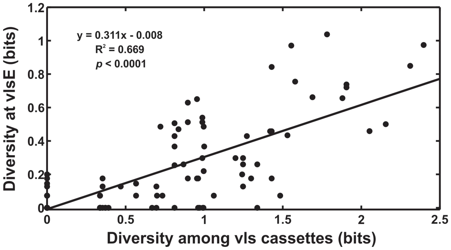Evolvability of <i>vlsE</i> is tightly correlated with sequence diversity among the unexpressed <i>vls</i> cassettes.