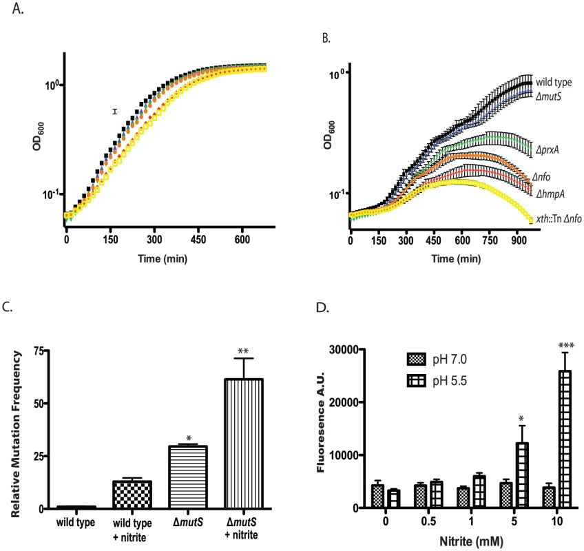 Effect of nitrite on growth of wild type and mutant <i>V. cholerae</i> strains.