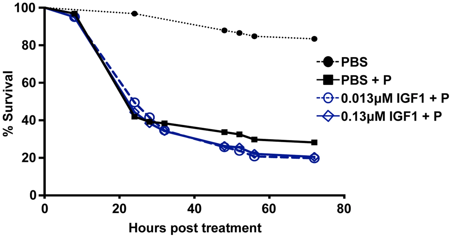 Effect of low dose IGF1 on <i>A. stephensi</i> survivorship was ablated by enhanced oxidative stress.