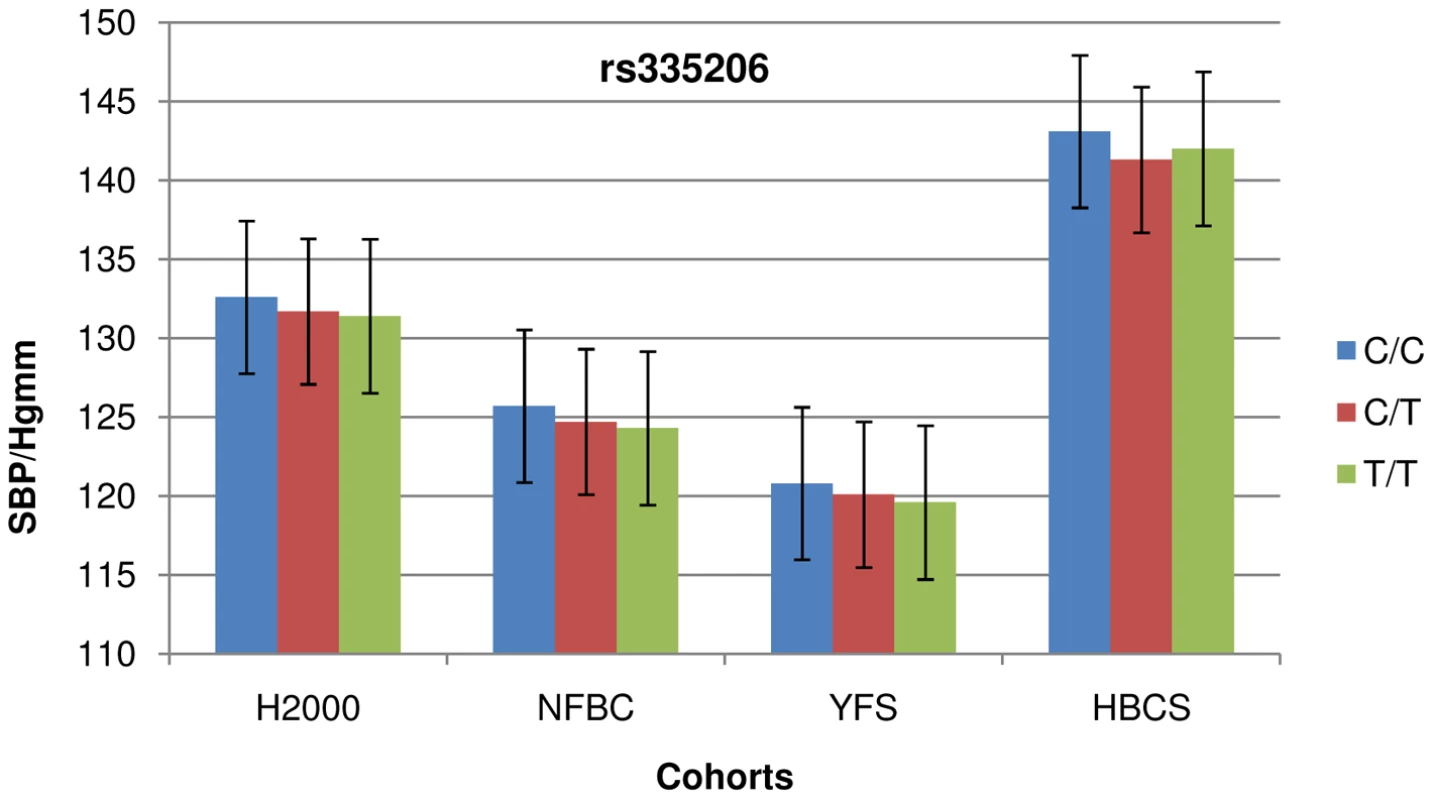 Cohort-wise effects of risk allele count on SBP.