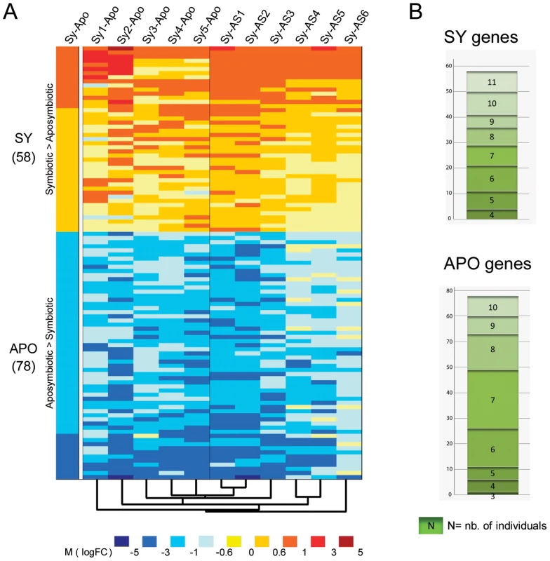 Differentially expressed genes (DEG) between symbiotic and aposymbiotic anemones.